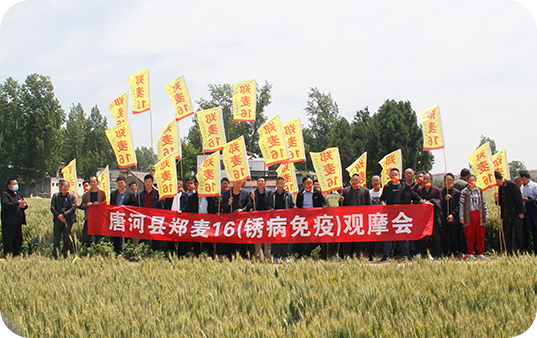 品質(zhì)有保障